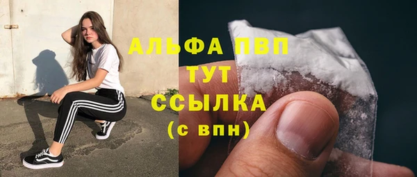 spice Чекалин