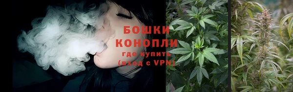 ПСИЛОЦИБИНОВЫЕ ГРИБЫ Горнозаводск