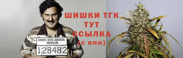 твердый Коряжма