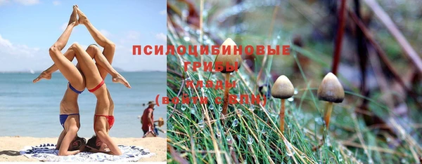 а пвп мука Гусев