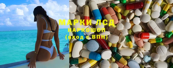 PSILOCYBIN Горно-Алтайск