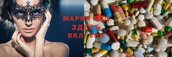 PSILOCYBIN Горно-Алтайск