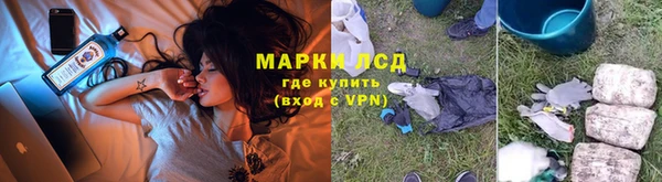 PSILOCYBIN Горно-Алтайск