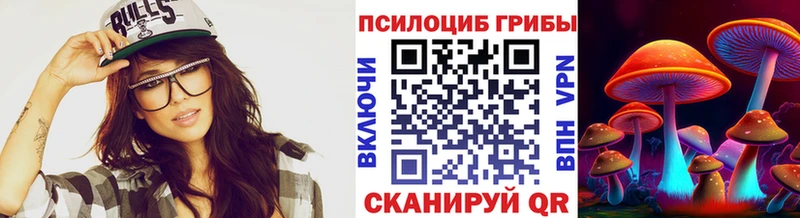 где можно купить наркотик  Новосокольники  Псилоцибиновые грибы Magic Shrooms 